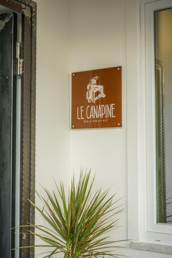 B&B Le Canapine Frattamaggiore Exteriör bild